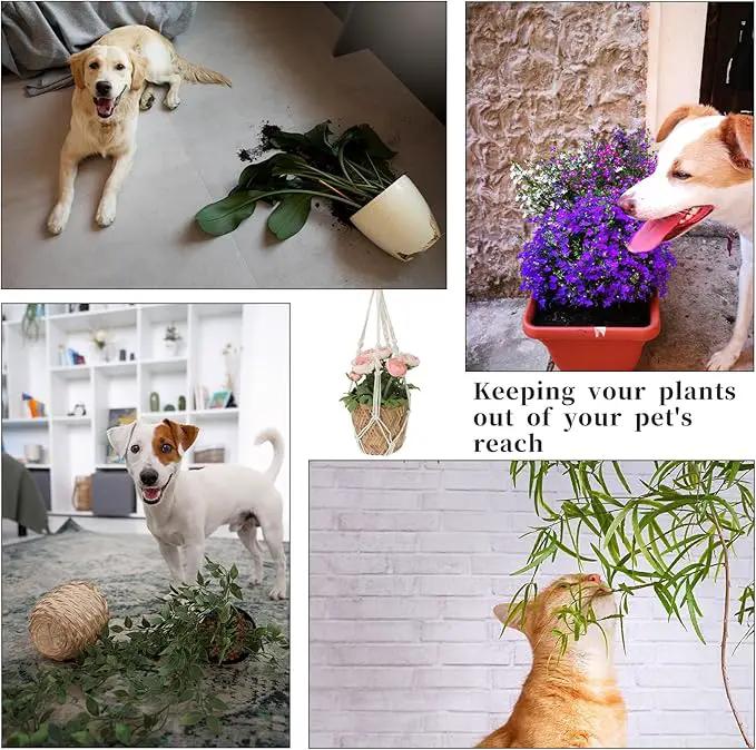 2 PCS Macrame Plant Hanger Indoor Hanging Plant Holder Hand-Woven Cotton Rope Flower Pot Basket with Metal Hook Rings Window Plant Hanger for Outdoor Hanging Pots Home Boho Decor, No Tassels, 23.6" by GreenHaven Gardens
