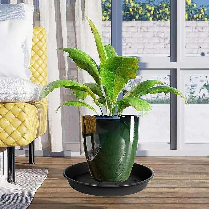 6 Pack of Plant Saucer 6 inch, Black Plastic Flower Plant Pot Saucer, Heavy Duty Plant Drip Trays Saucers for Indoor, Plant Water Tray for Planters by GreenHaven Gardens