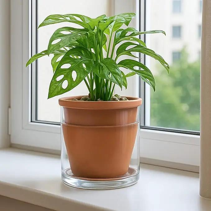 D'vine Dev 6 Inch Design Self Watering Pot for Indoor Plants, Terracotta Planter with Cylinder Glass Cup, 37-X-B-1 by GreenHaven Gardens
