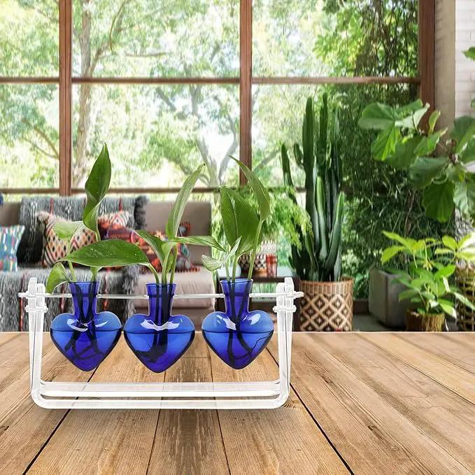 Plant Terrarium Propagation Stations with Wooden Stand Birthday Gifts for Women Plant Stand Indoor Office Home Decor by GreenHaven Gardens