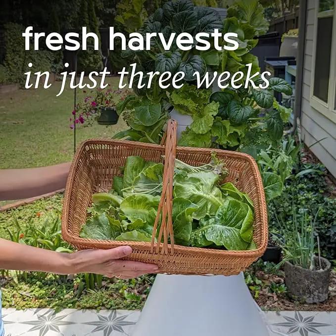Farmstand Starter Kit + 30 Seedling Credits | Family Hydroponic Growing System Kit | Self-Watering Outdoor Vertical Garden Planter Tower | 5ft 5in | Made in USA by GreenHaven Gardens