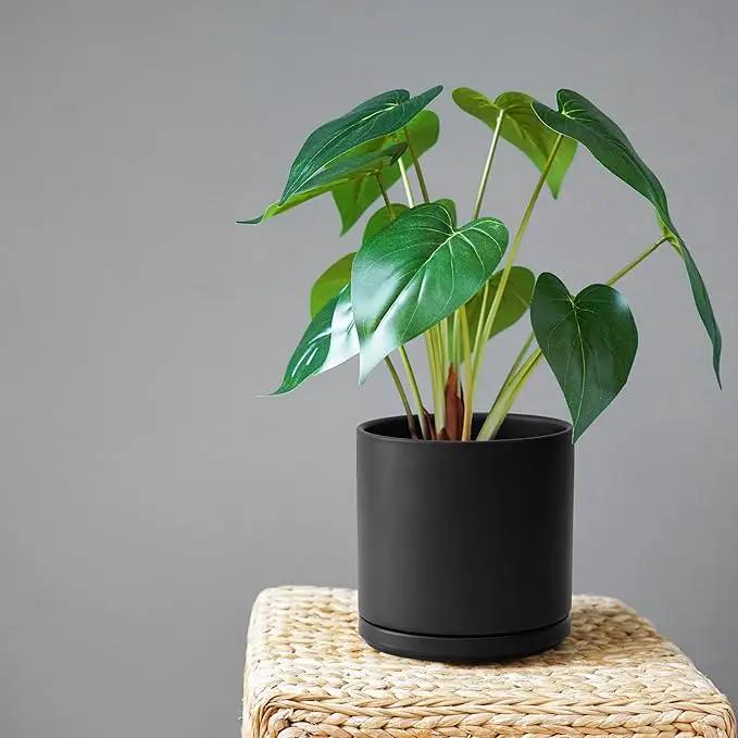 D'vine Dev 8 Inch Ceramic Planter Pot with Drainage Hole and Saucer, Indoor Cylinder Round Planter Pot, Black, 94-O-D-2 by GreenHaven Gardens