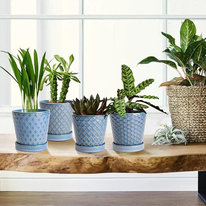 EFISPSS Plant Pots, 5 Inch Pots for Indoor Plants, Planters with Drainage Hole and Saucer, Ceramic Flower Pots Desktop Office Windowsill Decoration Gift Set of 4 - Sky Blue by GreenHaven Gardens