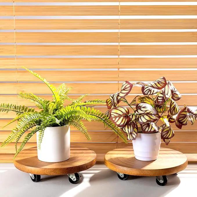 Yangbaga 2Pack 12inches Tree Plant Stand with Wheels,Rolling Plant Caddy with Wheels Heavy Duty- Plant Rollers with Lockable Casters for Outdoor /Indoor/Plant Pot/Flower Pot/Patio by GreenHaven Gardens