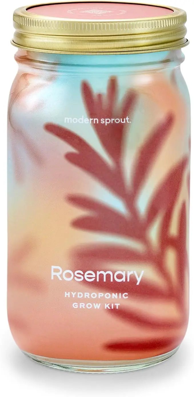 Modern Sprout Mason Garden Jar - Self-Watering Hydroponics Growing System Kit with Organic Herb Seeds - Jar Planter for Indoor Herb Garden - Seed Starter Kit - Home Decor & Gifting - Rosemary by GreenHaven Gardens