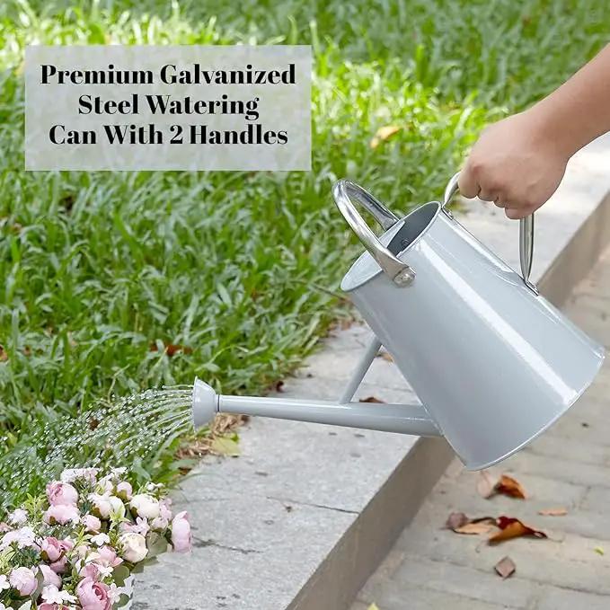 1.5 Gallon Watering Can for Outdoor Plants,Large Metal Plant Watering Pot with Removable Spout,Flower Garden Water Can Watering Pot,Galvanized Steel Watering Can with Stainless Steel Handles，Grey by GreenHaven Gardens