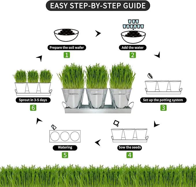 The Environet Organic Cat Grass for Indoor Cats, Organic Cat Grass Kit with Seeds Mix and Metal Iron Pots, Hairball Control, Digestion Support, Ideal Gift for Cat Lovers by GreenHaven Gardens
