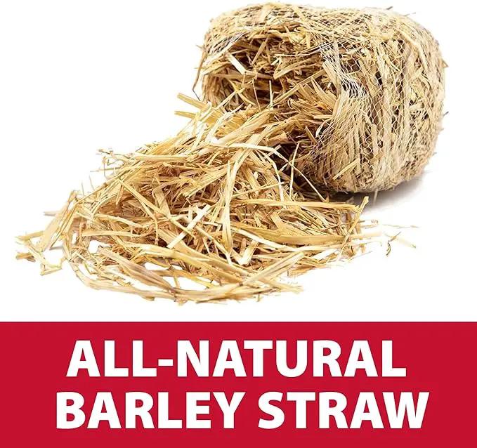 The Pond Guy Straw Barley Bale for Water Gardens, Fountains & Small Koi Ponds, Natural Clarifier, Simple & Easy to Use Pond Maintenance, 1-Pound Bale by GreenHaven Gardens