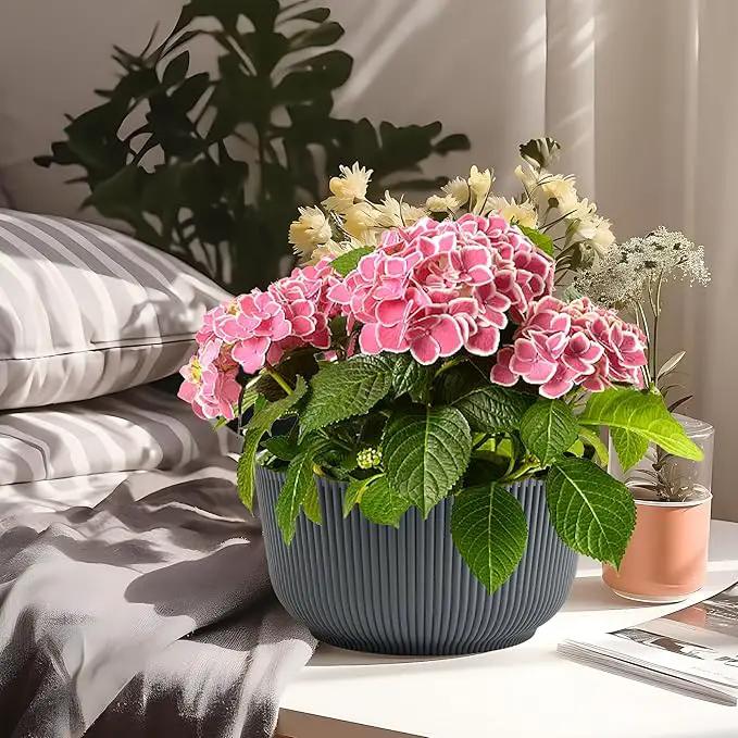 T4U 8 Inch Plant Pots, 2 Pack Self Watering Planter with Drainage Hole, Shallow Plant Pot Indoor, Home Decor Flower Pots for Plants, Cactus, Garden, Gray by GreenHaven Gardens
