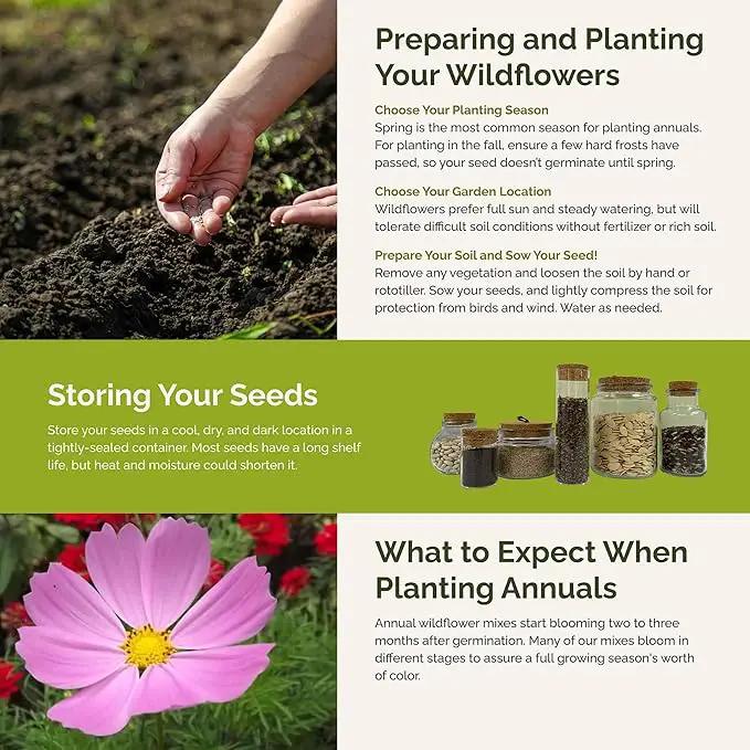 Eden Brothers Tickled Pink Flower Mixed Seeds for Planting, 5 lb, 2,400,000+ Seeds with Cosmos, Cornflower, Zinnia | Attracts Pollinators, Plant in Spring or Fall, Zones 3, 4, 5, 6, 7, 8, 9, 10 by GreenHaven Gardens