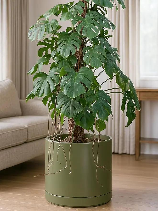 D'vine Dev 14 Inch Ceramic Planter Pot with Drainage Hole and Saucer, Indoor Cylinder Round Planter Pot, Olive, 94-O-G-J by GreenHaven Gardens