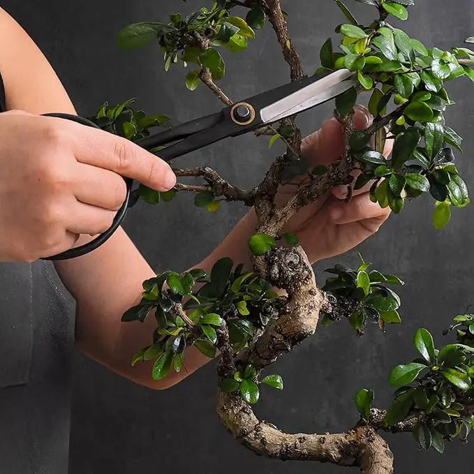Professional Bonsai Slim Scissors | Pruning Shears for Trimming Plants | Japanese Gardening, Bonsai Tools | Garden Scissors by GreenHaven Gardens