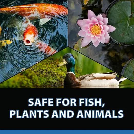 CrystalClear Barley Extract Water Garden & Fountain Clarifier, Natural Liquid Concentrate to Treat Cloudy Ponds, Koi Fish, Plant & Pet Safe, 1 Gallon by GreenHaven Gardens