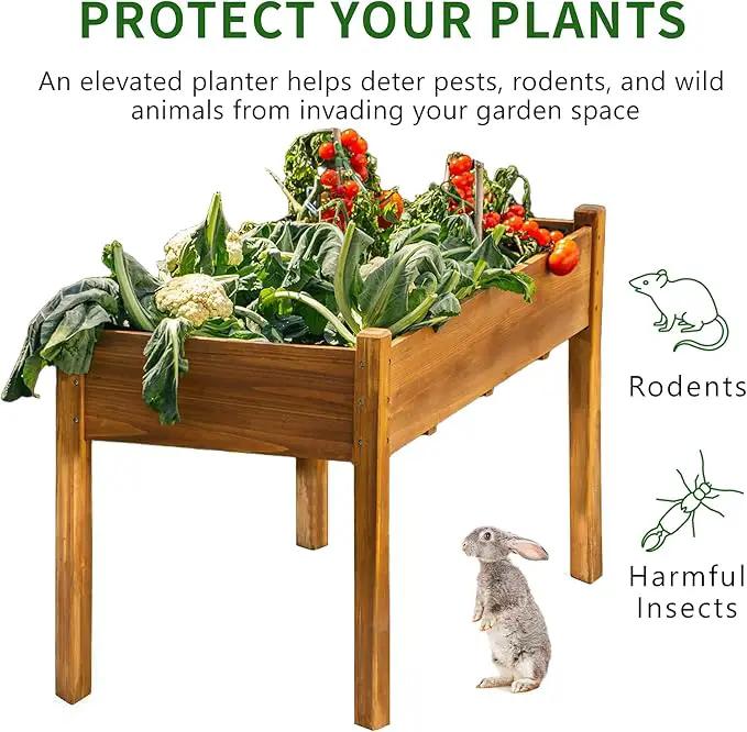 Premium Fir Wooden Raised Garden Bed with Four Legs for Backyard and Balcony Gardening,Suitable for Indoor and Outdoor use,49.5''×23.5''×30'' by GreenHaven Gardens