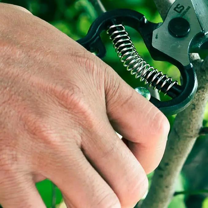 DAESUNG Bypass Pruning Shears For Gardening, Bypass Pruner For Gardening Heavy Duty, Bypass Pruners, Garden Shears Pruning Heavy Duty, with 5/8 Inch Cutting Capacity VGS-001 (Made in Vietnam) by GreenHaven Gardens