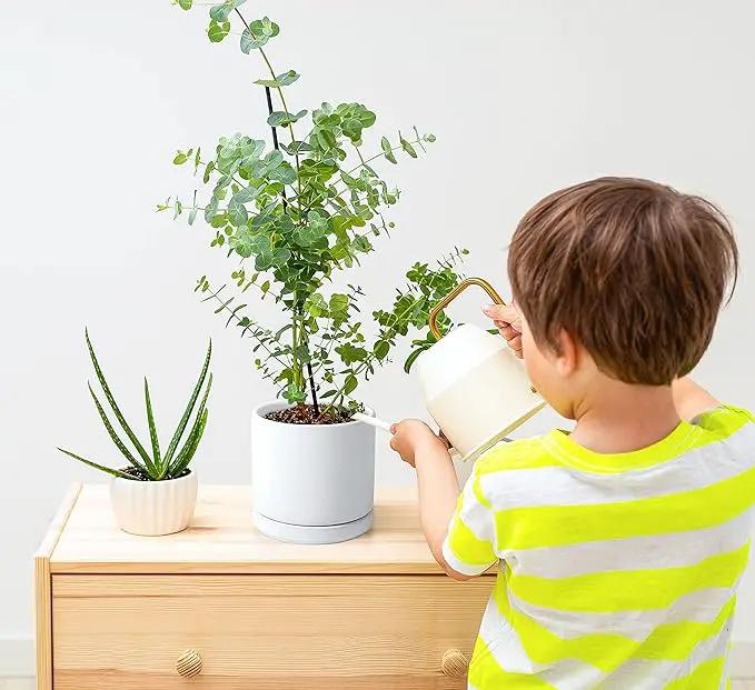 D'vine Dev Set of 2 Plants Pot, 4.6 Inch Ceramic Planter Pot for Plants with Drainage Hole and Saucer, White, 94-V-B-1 by GreenHaven Gardens