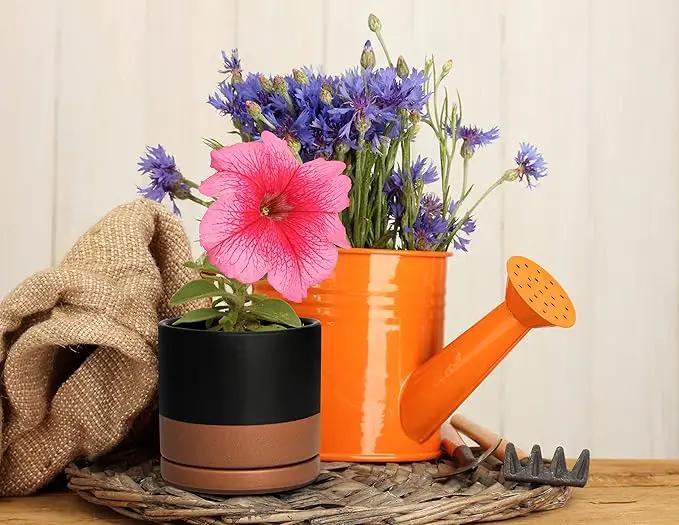 D'vine Dev Ceramic Planter Pot with Drainage Hole and Saucer, Indoor Cylinder Round Flower Pot, 4.6 Inch, Black/Speckled Tan, 94-O-B-7 by GreenHaven Gardens