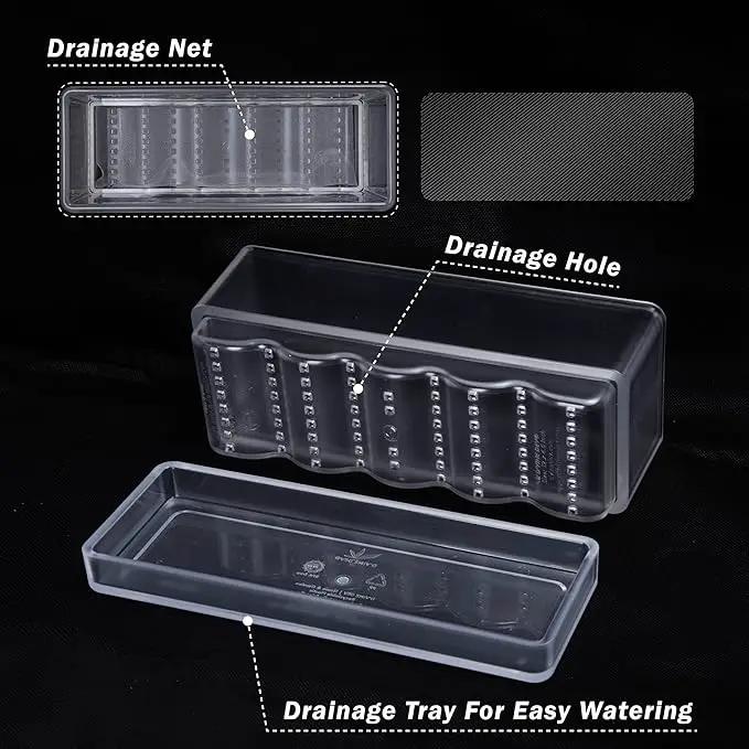 D'vine Dev 12 Inch Window Box Planter, Rectangle Plastic Herb Planter with Drainage Holes and Saucer, Indoor Succulent Cactus Vegetable Pot for Windowsill, Garden Balcony, Clear, Set of 2, 76-X-D-2 by GreenHaven Gardens
