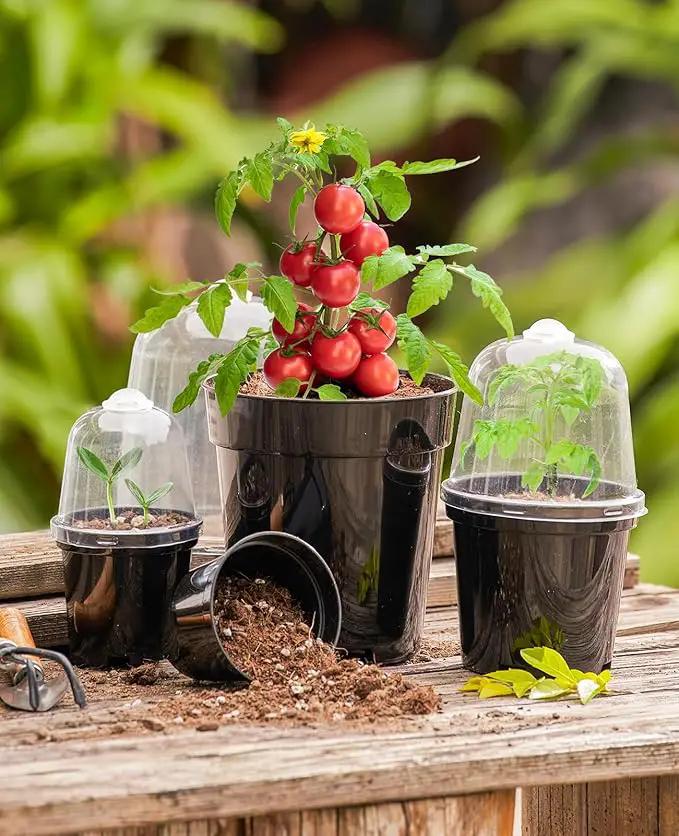 homenote Nursery Pots for Plants,3/4/5 Inch Plant Pot for Planting with Humidity Domes Plastic Seedling with Drainage Holes Seed Starter Flower with 10 Labels Black (15 Pack) by GreenHaven Gardens