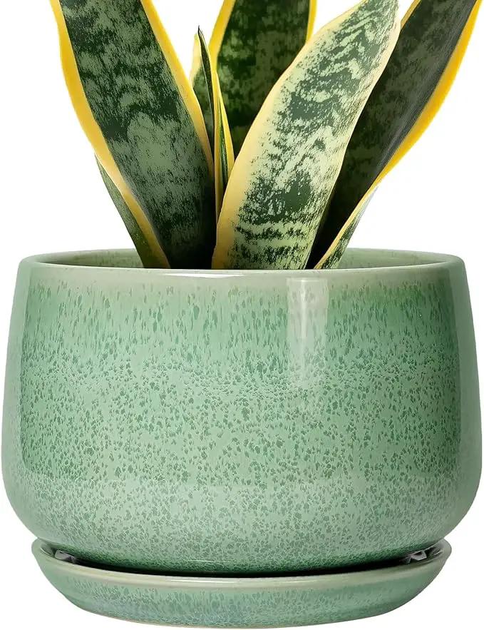 G EPGardening Ceramic Plant Pot - 7 Inch Ceramic Planter for Indoor Outdoor Plants, Flower Pot with Drainage Hole and Tray, Modern Round Planter, Plants Lovers Gifts, Home Garden Decor, Green by GreenHaven Gardens