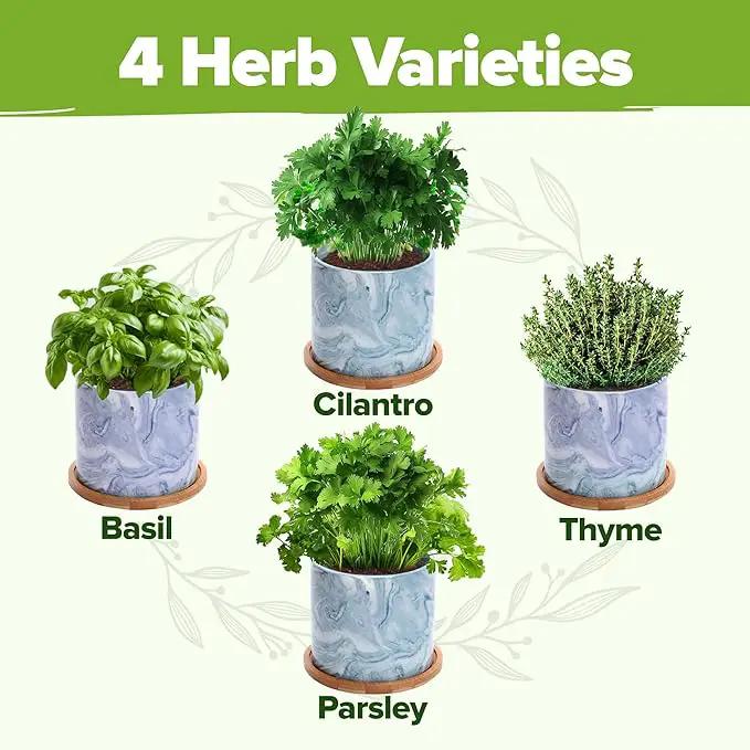 HOME GROWN Indoor Herb Garden Kit w/Glazed Ceramic Pot - Easy-to-Grow Kitchen Window Gardening Starter Set - Unique Housewarming Gift for Women, Mom, Gardeners, Friend, Her, Mother by GreenHaven Gardens
