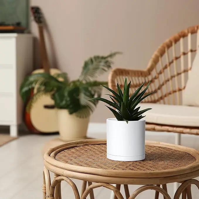 D'vine Dev 6 Pack 5 Inch Modern Plastic Plant Pots, Small Garden Planters for Plant with Drainage Holes and Saucers, White Color, 74-Z-G-3 by GreenHaven Gardens