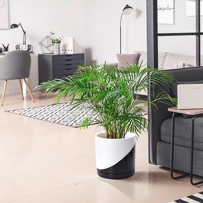 D'vine Dev 12 Inch Ceramic Planter Pot with Drainage Hole and Saucer, Indoor Cylinder Round Planter Pot, Oblique Monochrome Black and White, 94-O-F-K by GreenHaven Gardens