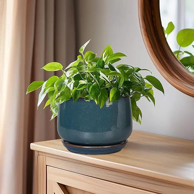 G EPGardening Ceramic Planter 6 Inch - Round Modern Ceramic Pot for Plants with Drainage and Plant Tray Indoor for Flower, Apartment Decor, Housewarming Gifts New Home, Retro Blue by GreenHaven Gardens