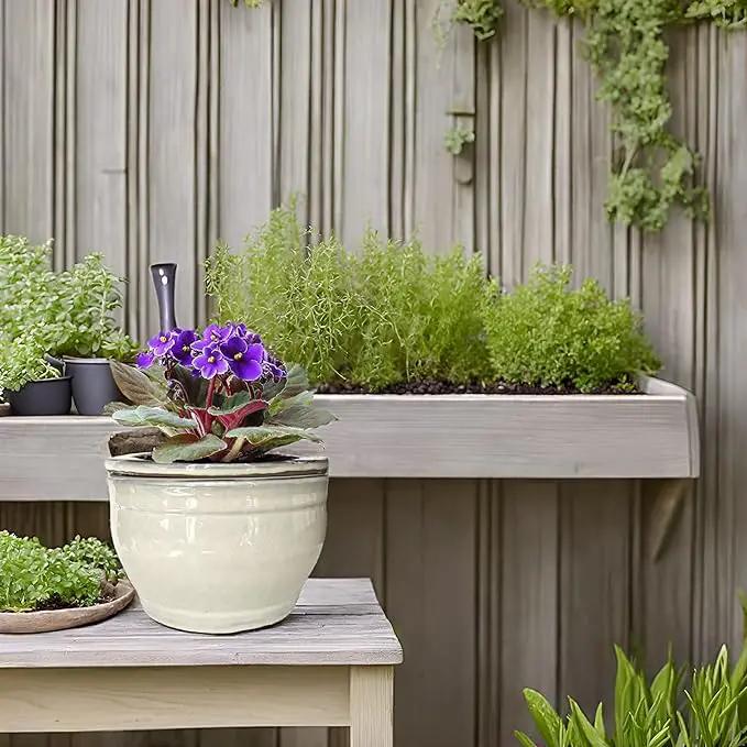 African Violet Pots Self Watering Round Ceramic Violet Pot (White, 6 inch) by GreenHaven Gardens