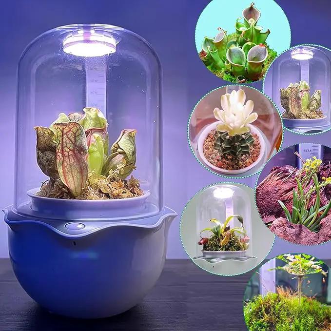 Smart Venus Fly Trap Terrarium Pot with Timer&Fan,Succulent Planter with Grow Light,Indoor Plant Pots Terrarium with Drainage Hole for Carnivorous Plants,Sundew Moss,Cactus(No Plant) by GreenHaven Gardens