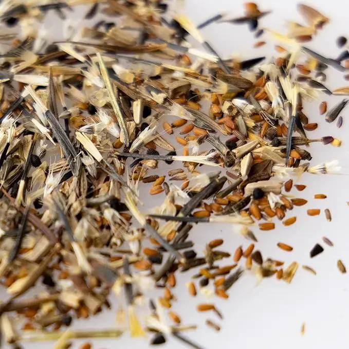 Wildflower Seeds Bulk – National Wildflower Seed Collection – Perennial Wildflowers Mix – Flower Seeds for Planting – Wild Flowers (Save The Monarchs) by GreenHaven Gardens