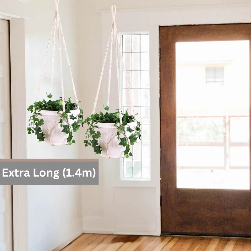 2 Pack Giant XXL 55 Inches Macrame Planter Hanger Large for 15 inch Pot + Swag Hook | Extra Large Hanging Planter for Indoor Plants | No Pot/Plant Included (XXL) by GreenHaven Gardens