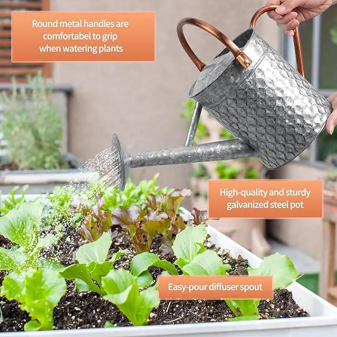 1 Gallon Metal Watering Can for Outdoor Indoor Plants, Galvanized Watering Can with Removable Spray Spout, Ideal for Garden Watering by GreenHaven Gardens