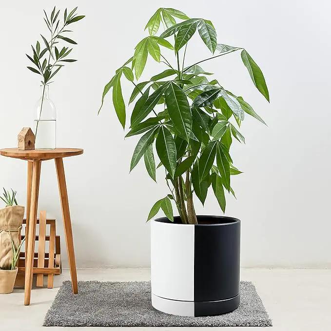 D'vine Dev 10 Inch Ceramic Planter Pot with Drainage Hole and Saucer, Indoor Cylinder Round Planter Pot, Split Monochrome Black & White, 94-O-E-0 by GreenHaven Gardens