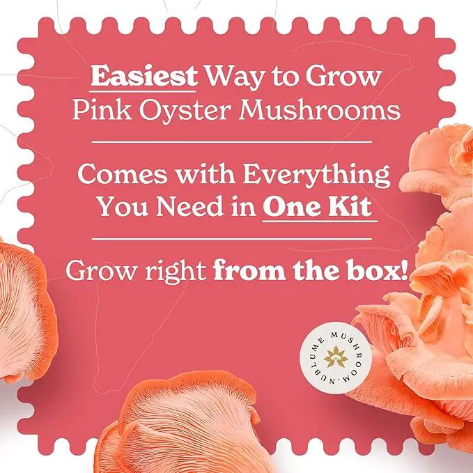 Pink Oyster Mushroom Grow Kit, Grow Your Own Fresh Gourmet Mushrooms at Home, Includes Instructions and Recipes (Pink Oyster) by GreenHaven Gardens