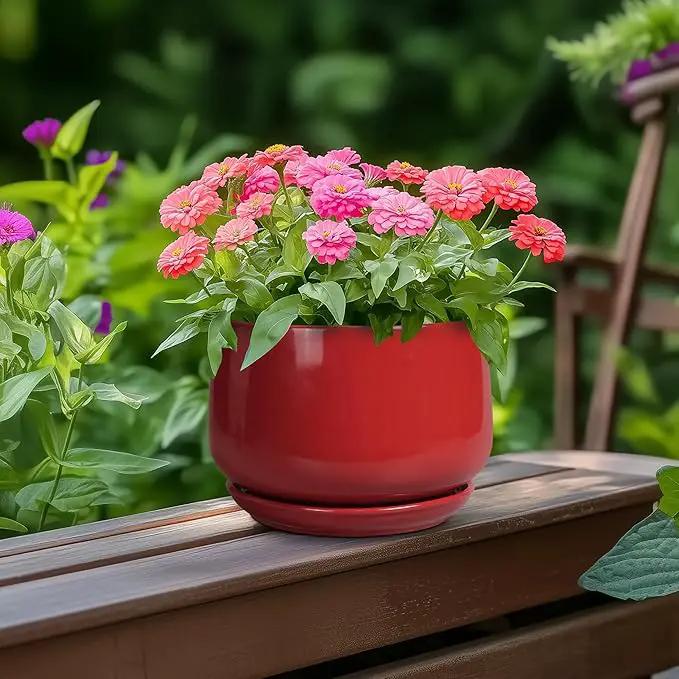 G EPGardening Ceramic Pot for Plants - 6 Inch Plant Pot with Drainage and Ceramic Tray, Modern Living Room Decor, Planter for Housewarming Gifts New Home, Red by GreenHaven Gardens