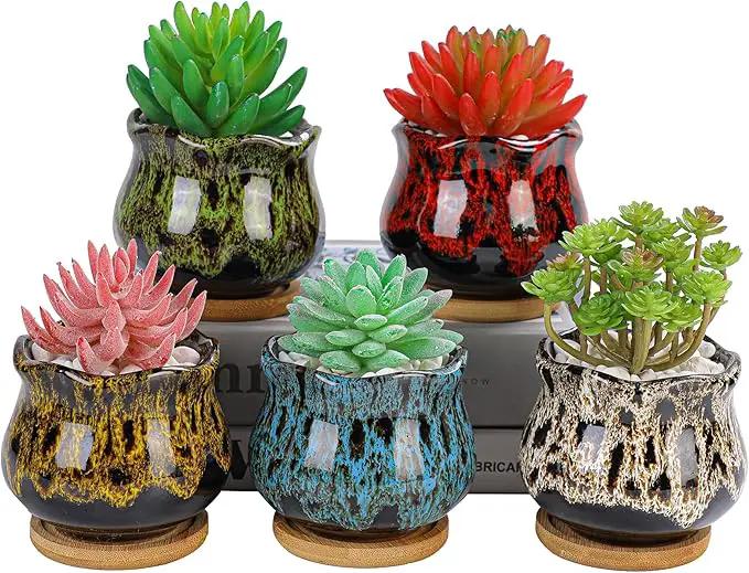 Cute Ceramic Succulent Garden Pots, Planter with Drainage and Attached Saucer, Set of 5 - Plants Not Included (Fambe) by GreenHaven Gardens