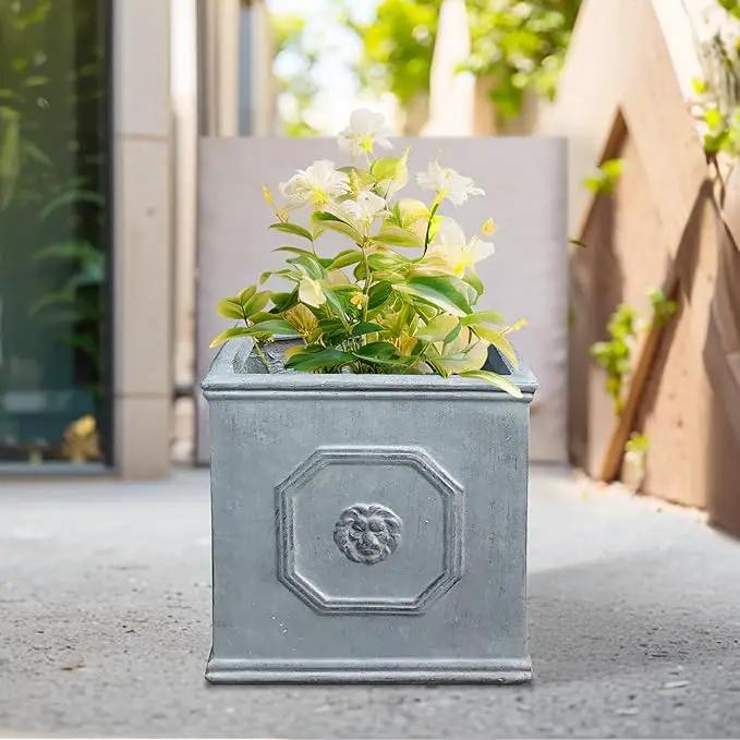 Kante Square Lion Head Concrete Planter, Classic English Style Plant Pot with Drainage Hole and Rubber Plug for Indoor Outdoor Garden Patio Home, 12.6"x12.6"x12.6" Gravel Gray by GreenHaven Gardens