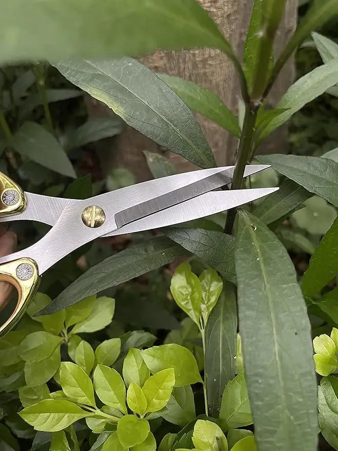 Japanese Garden Clippers, Houseplant plant shears, Floral Pruner Botanical Flower Stem scissors, Gardening Shears with Straight Stainless Steel Blades, Easy Use Garden Tools (golden-k26) by GreenHaven Gardens