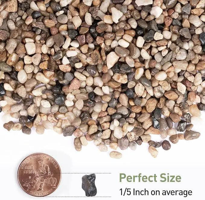 GASPRO Drainage Pebbles for Indoor Plants, 1/5 Inch Small Rocks for Potted Plants, Decorative Pebbles for Succulent, Cactus, Crafts, Bamboo, Pea Gravel for Landscaping, Aquarium, Fish Tank, 5lbs by GreenHaven Gardens
