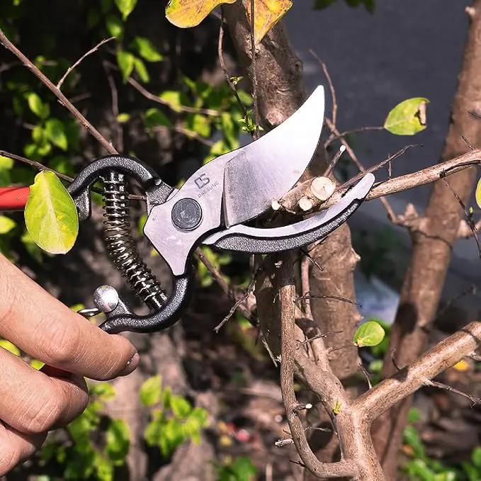 DAESUNG Bypass Pruning Shears For Gardening, Bypass Pruner For Gardening Heavy Duty, Bypass Pruners, Garden Shears Pruning Heavy Duty, with 5/8 Inch Cutting Capacity VGS-001 (Made in Vietnam) by GreenHaven Gardens