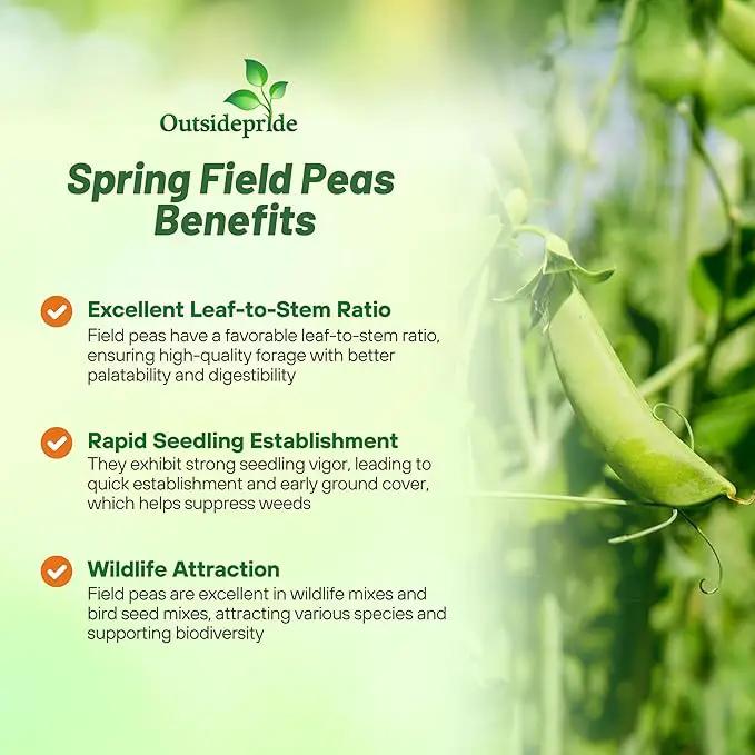 Outsidepride Dundale Spring Field Peas Seeds - 1 lb. Annual, High-Protein Legume & Cover Crop Seeds for Forage, Food Plot, Gardens & Pastures - Ideal for Improving Soil Health, & Erosion Control by GreenHaven Gardens