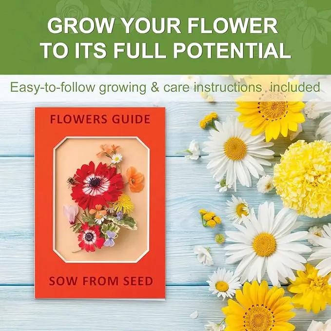 Indoor Daisy Garden Starter Kit with Gardening Tools - Jute Bags, Markers, Soil Disks and Shears, Home Gardening Gifts for Women Men Plant Lovers by GreenHaven Gardens