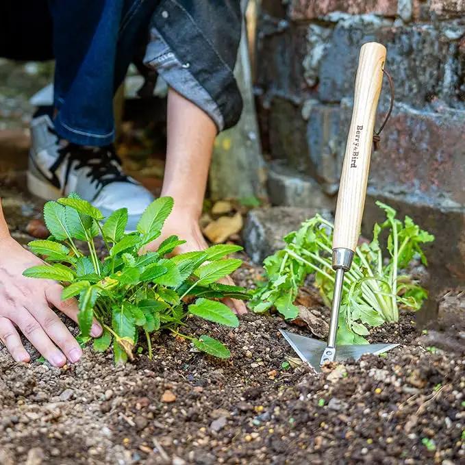 Berry&Bird Triangle Hand Hoe, 15.2'' Winged Weeder Garden Hoes with Short Wood Handle, Gardener Stainless Steel Warren Hoe, Garden Weeder Hoe Tool for Quickly Weeding, Edging and Gardening Tools by GreenHaven Gardens