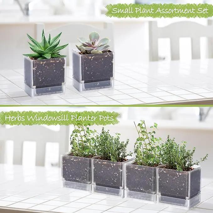4 Inch Herb Planter Pot, Plastic Planter with Drainage Holes and Saucer, Modern Decorative Gardening Pot for Indoor Plants, Flowers, Herbs, Succulents, Clear, Set of 4, 76-Y-D-4 by GreenHaven Gardens