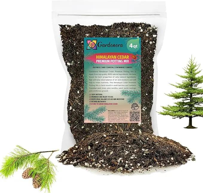 Premium Himalayan Cedar Potting Soil Mix - Perfect Balance of Nutrients, Drainage, and Aeration for Healthy Cedar Trees - 4 Quart by GreenHaven Gardens