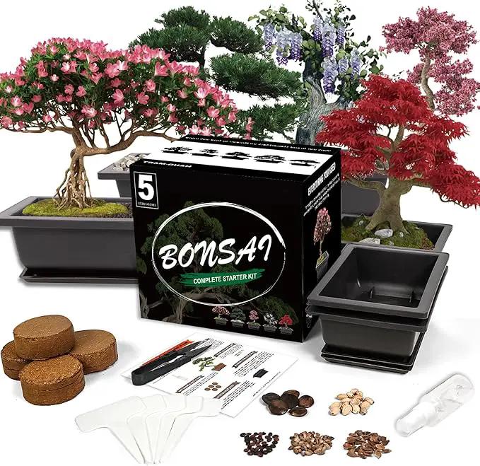 Bonsai Starter Kit, 5 Seeds Growing into Acacia, Wisteria, Sakura, Red Maple and Black Pine, Including Complete Gardening Tools with A Gift Box, Christmas Gifts for Men Women Beginners by GreenHaven Gardens