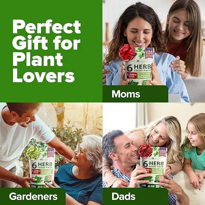 HOME GROWN 6 Herb Seeds for Planting 3,200+ Non-GMO Heirloom Seeds | Extra Large Variety Pack Herb Kit – Indoor Outdoor & Hydroponic | Culinary Seed Set | Grow Your Own Herbs | Gift for Beginners by GreenHaven Gardens