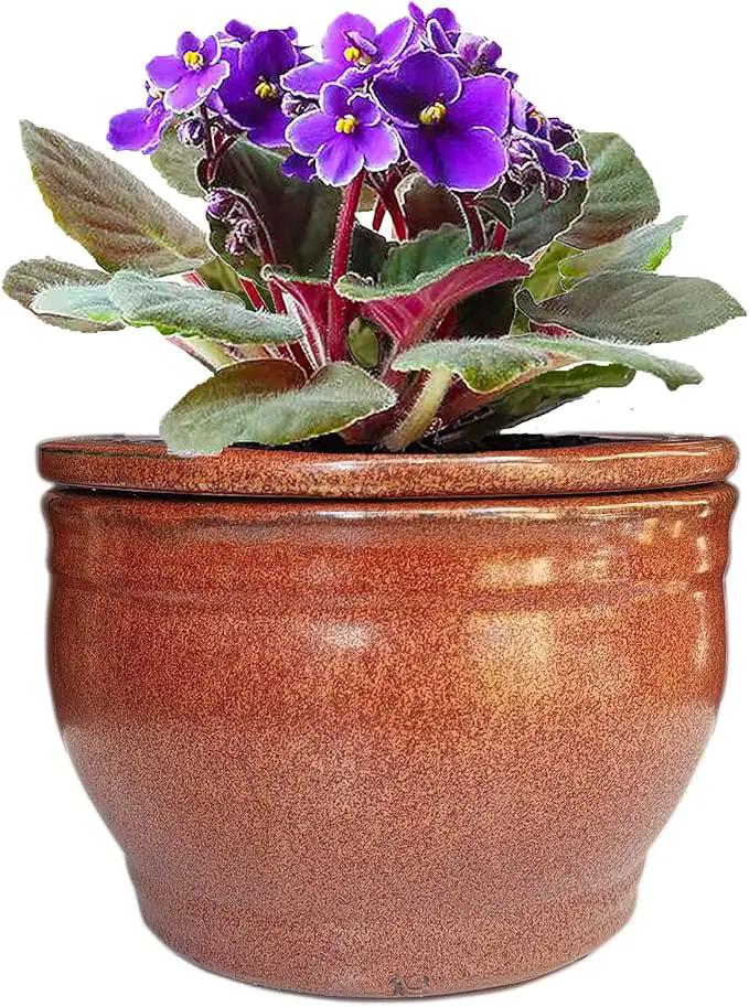 African Violet Pots Self Watering Round Ceramic Violet Pot (Copper, 6 inch) by GreenHaven Gardens