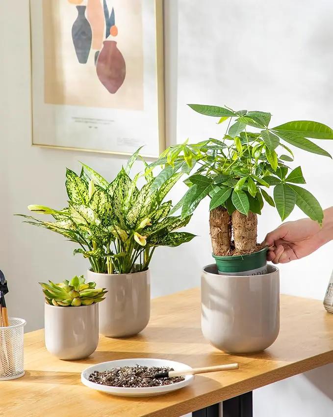 vancasso Ceramic Plant Pots, 4+5+6 inches, Set of 3, Planters with Drainage Hole, Flower Pots Planters Pots for Indoor Plants, Modern Indoor Decorative Garden Pot, Home Decor, Gray by GreenHaven Gardens